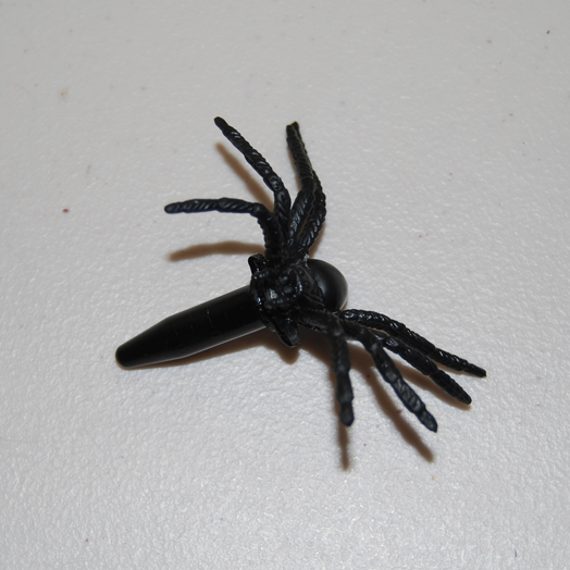 Nano Spider Geocache